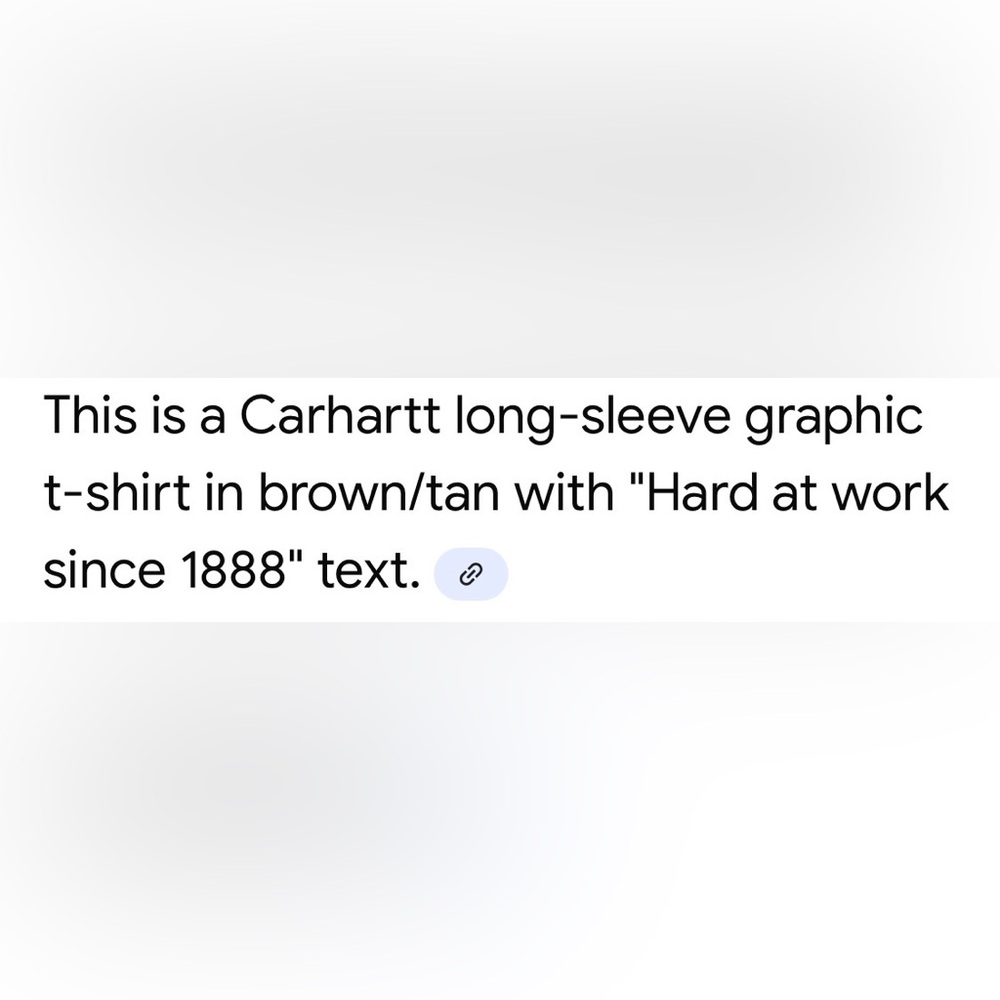 Carhartt Brown and Tan Long-Sleeve Top - Picture 6 of 15